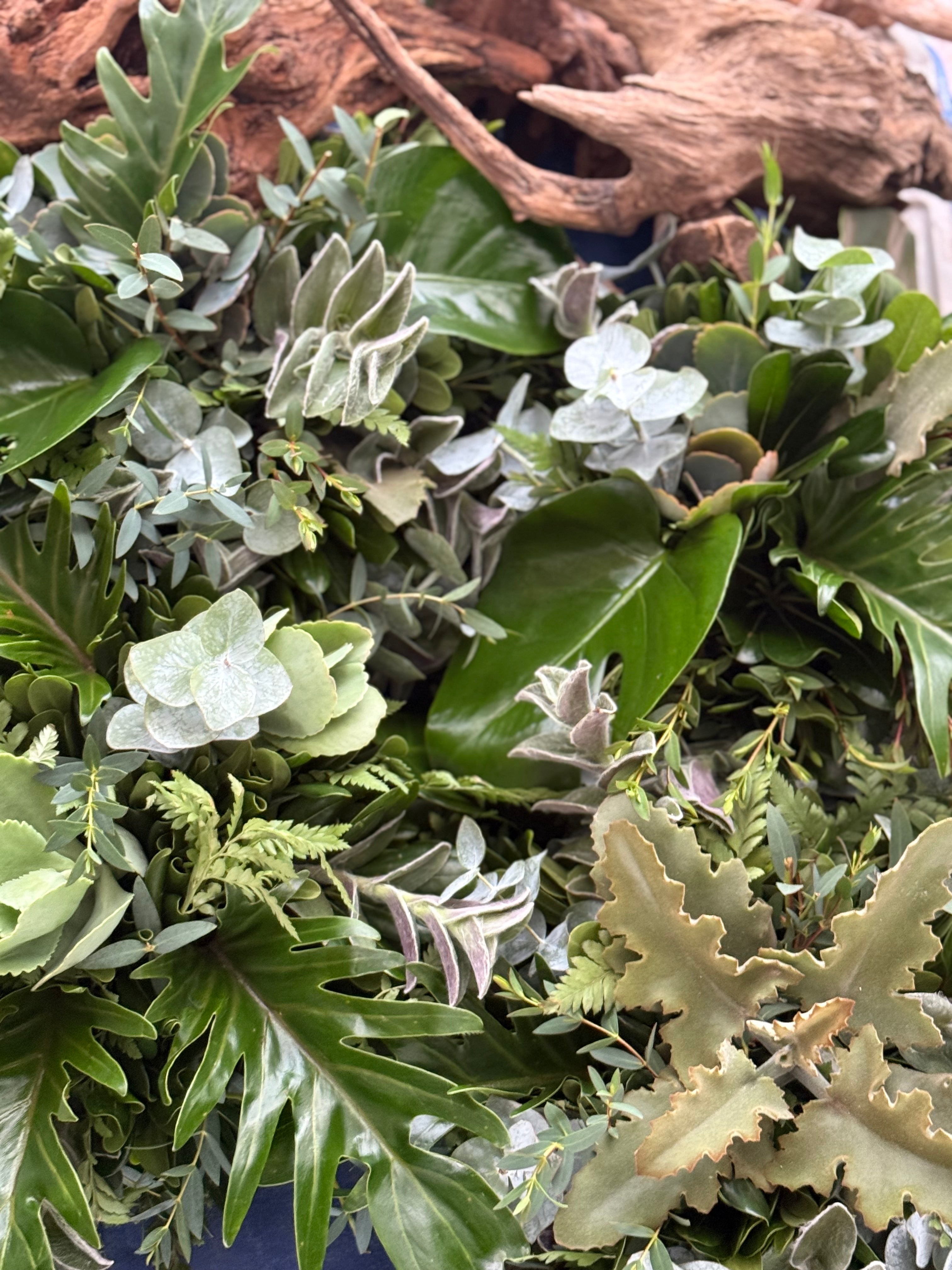 centro-mesa-botanico-monterrey